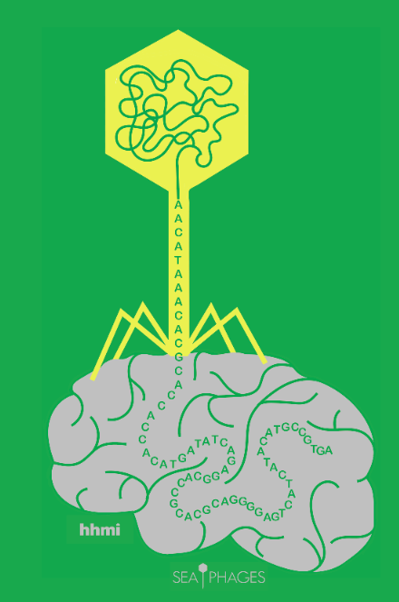 SeaPhages Logo
